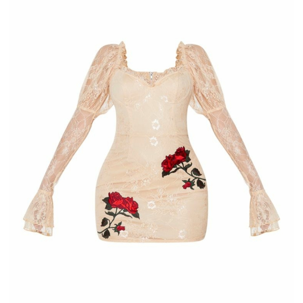 PrettyLittleThing Cream Lace Mini Dress with Red Rose Embroidery - Picture 2 of 5